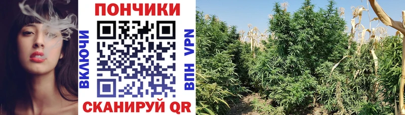 Бошки Шишки White Widow Петропавловск-Камчатский